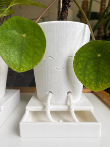pot coverphoto